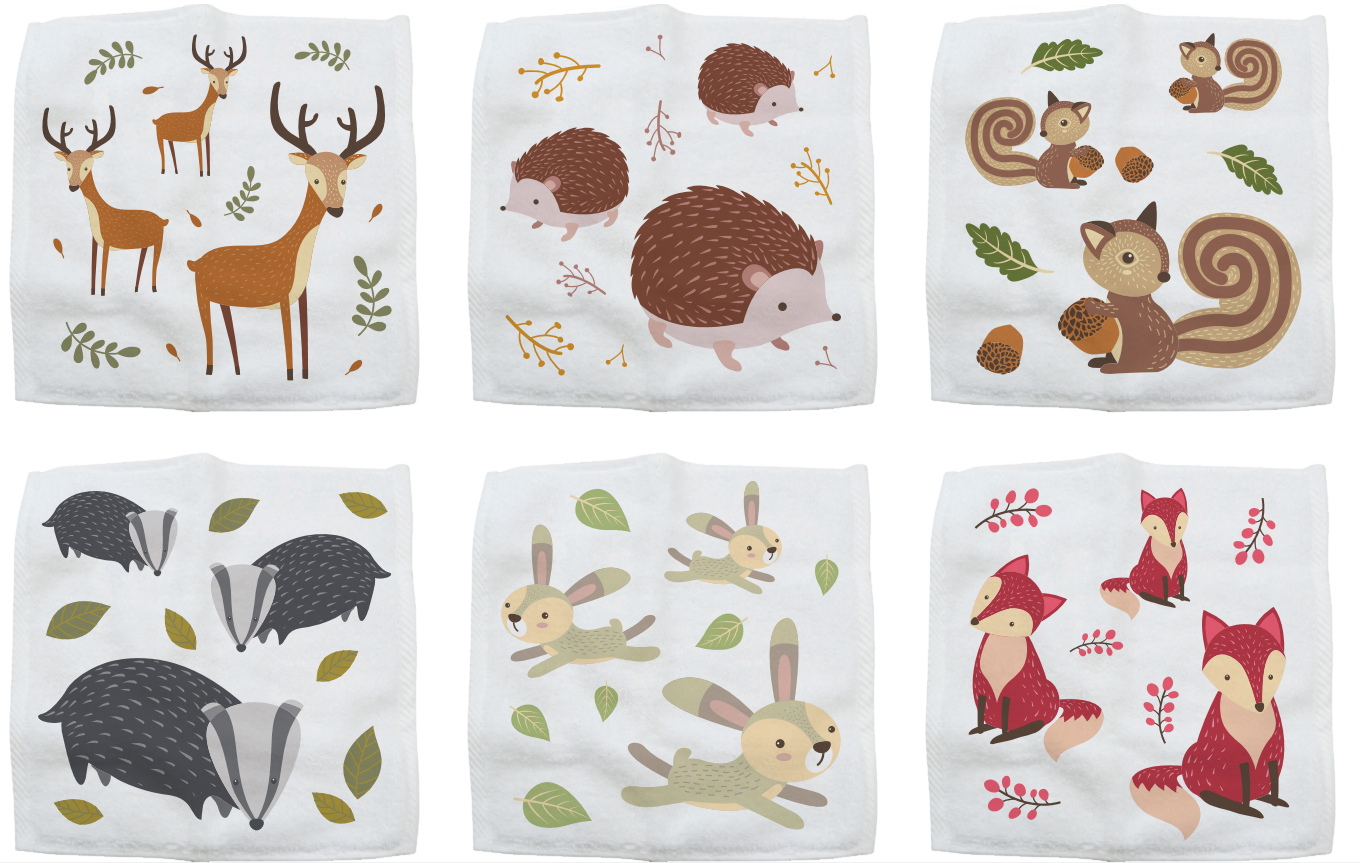 Woodland Animals Magic Flannels