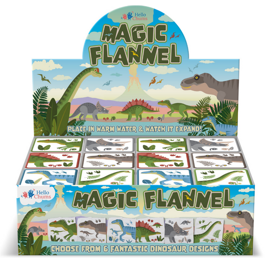Dinosaur Magic Flannels